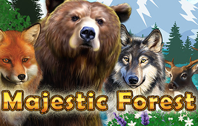 Majestic Forest